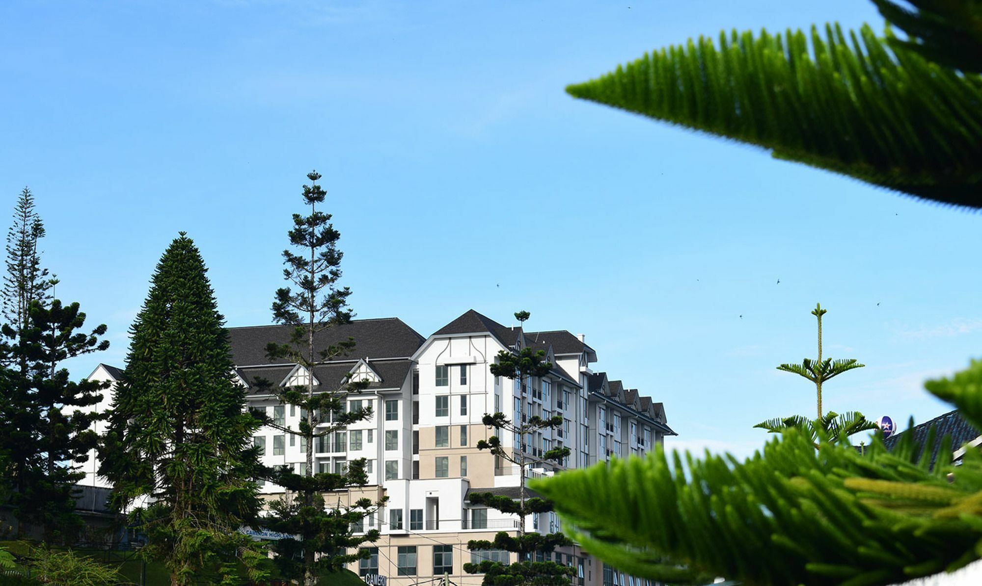 Avillion Cameron Highlands Exterior foto